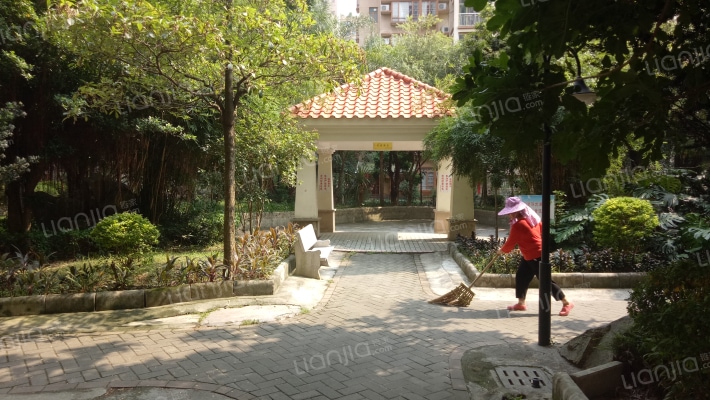 城市春天外景图