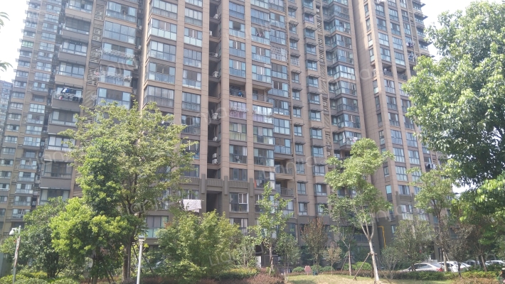 梧桐水岸花园B区外景图