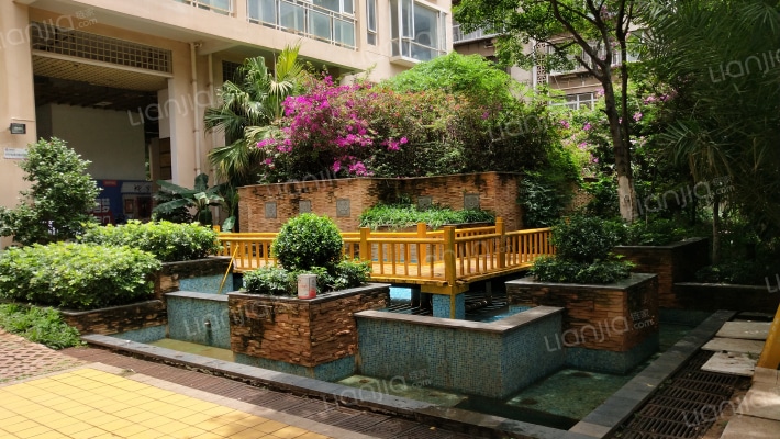 金色梧桐外景图