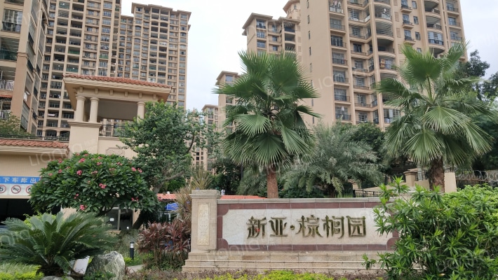 新亚棕榈园二区外景图