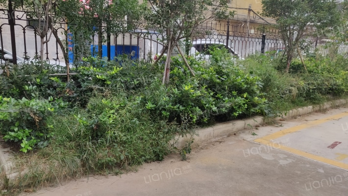 华东小区外景图