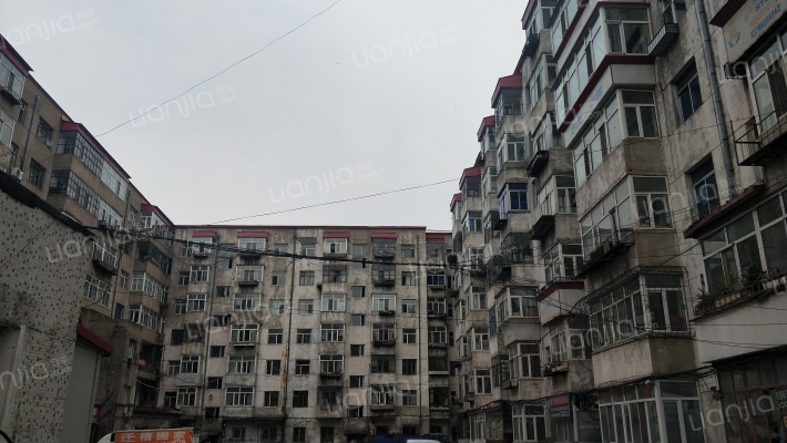 城建局综合楼外景图