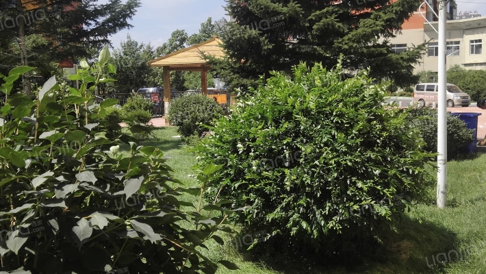 紫光秀苑外景图