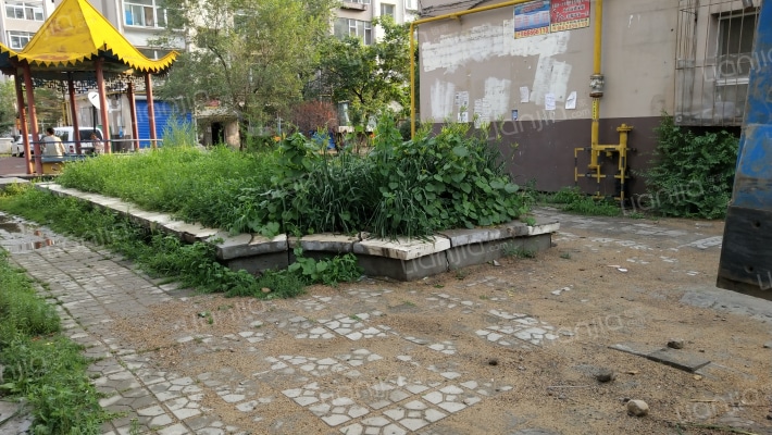 武汉路北小区外景图