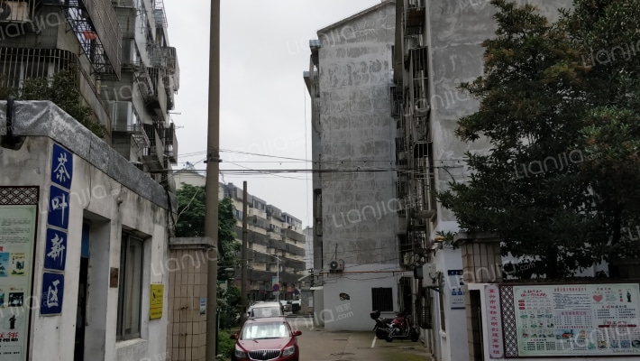 茶叶新区外景图