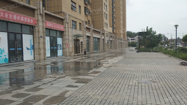 五岛湖公馆房源|户型图|小区车位|交通地址详情分析!