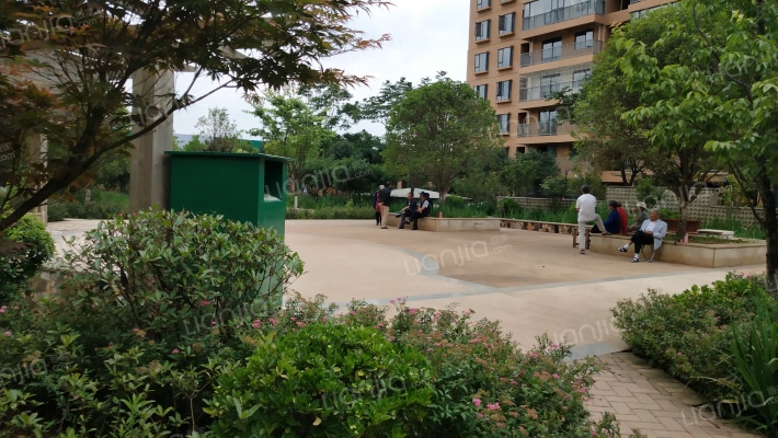 西城林语华郡苑外景图