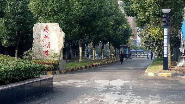 森林湖畔外景图