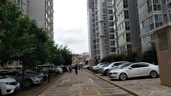 蒜村新区外景图