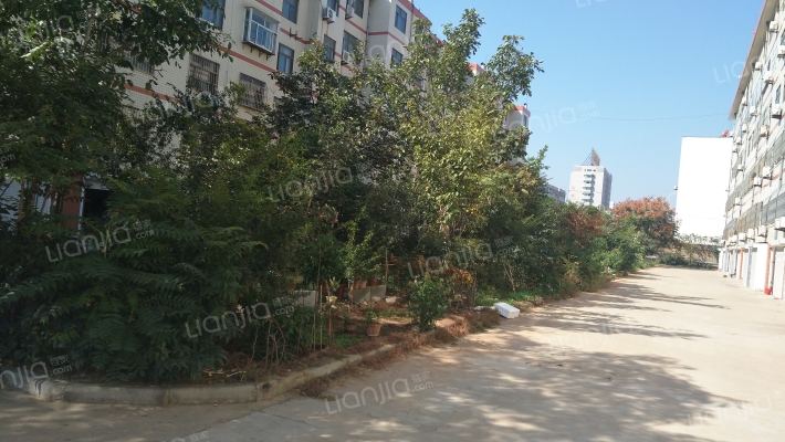 安邦嘉苑外景图