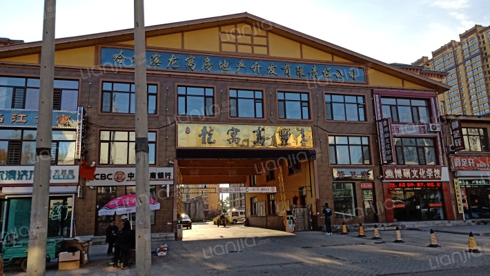 龙寓高墅外景图