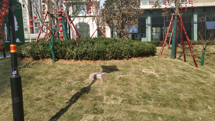 建业森林半岛外景图