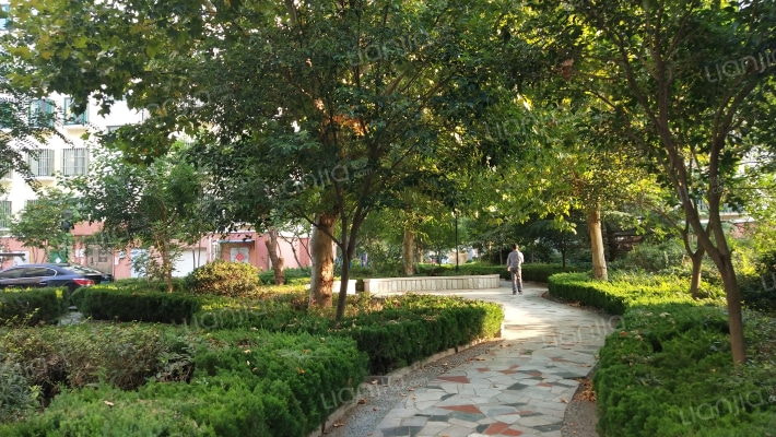 水寨花园外景图