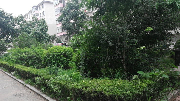 文化小区外景图