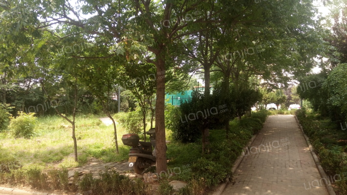 新七街西花园小区外景图