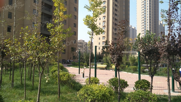 东方逸品外景图