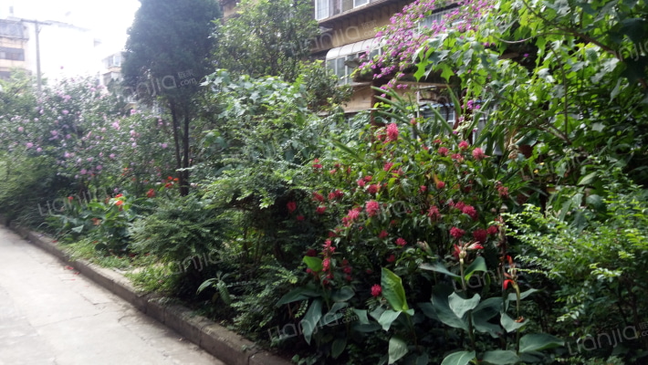 金龙小区外景图