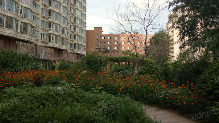 富海丽苑外景图