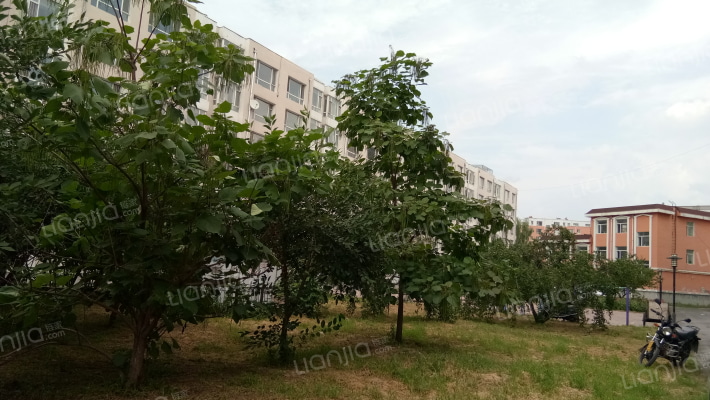 红大嘉园一区外景图