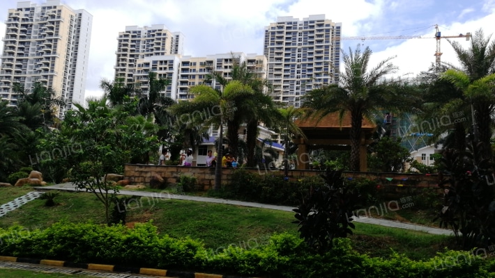 金缘世家外景图