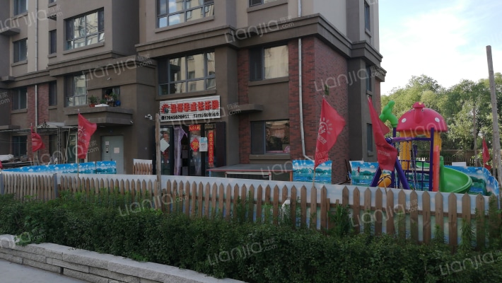 温哥华森林外景图