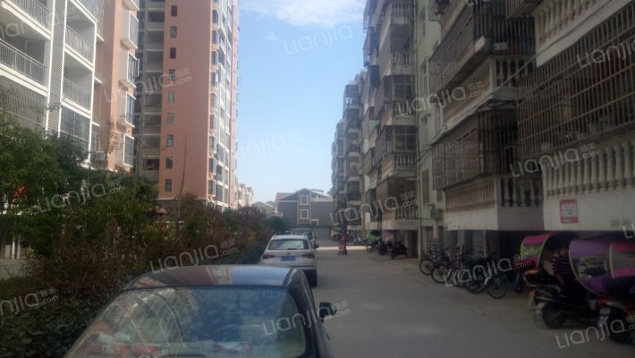 太学花苑外景图