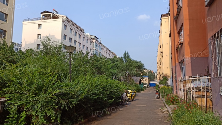 铁成骊景外景图