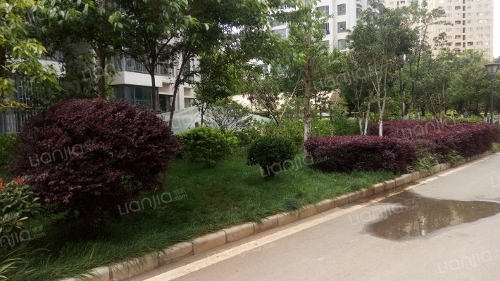 果香苑北苑外景图