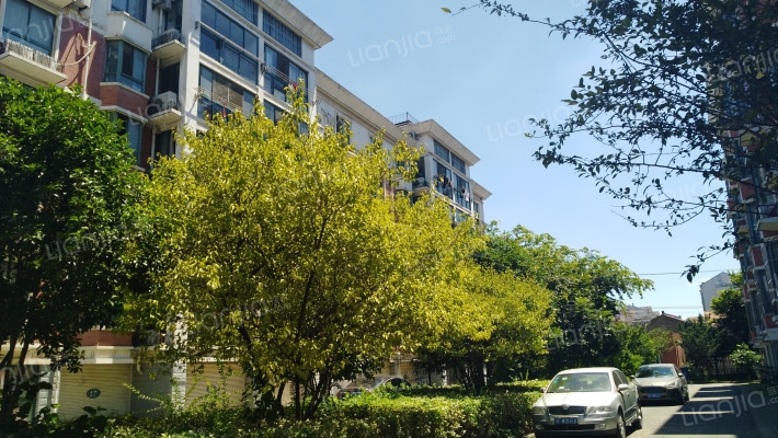 锦洪苑小区外景图