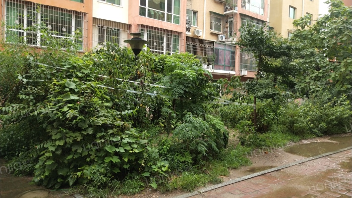 河畔新城外景图