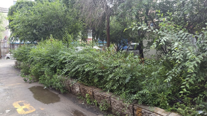 新胜昌小区外景图