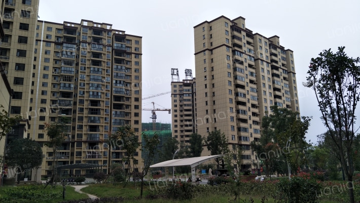 锦绣香江外景图