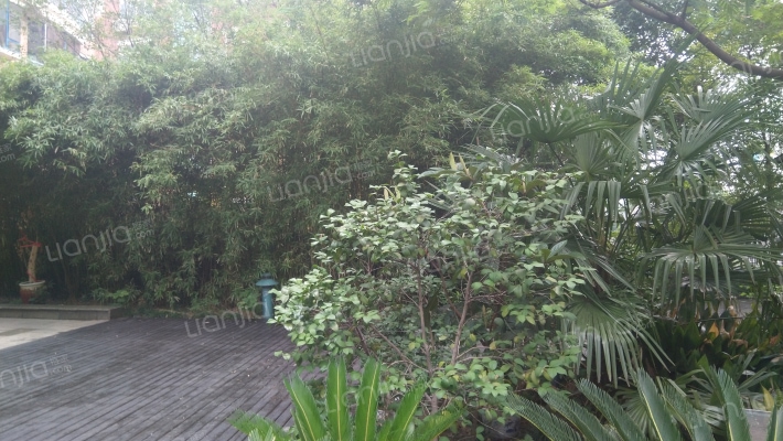 槐古豪庭南区外景图