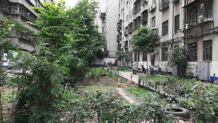 啤酒厂家属院外景图