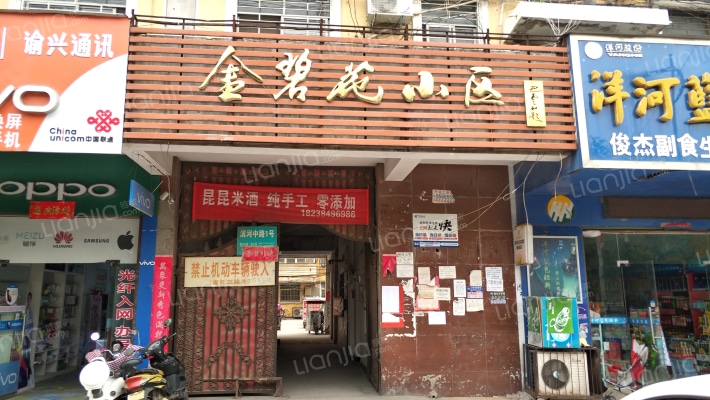 金碧苑小区外景图