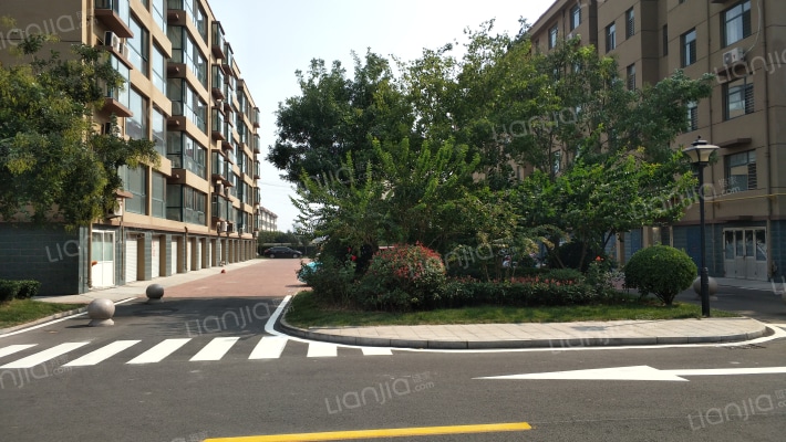 龙都现代城东区外景图