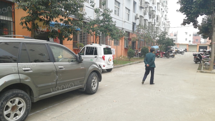 南湖花园外景图