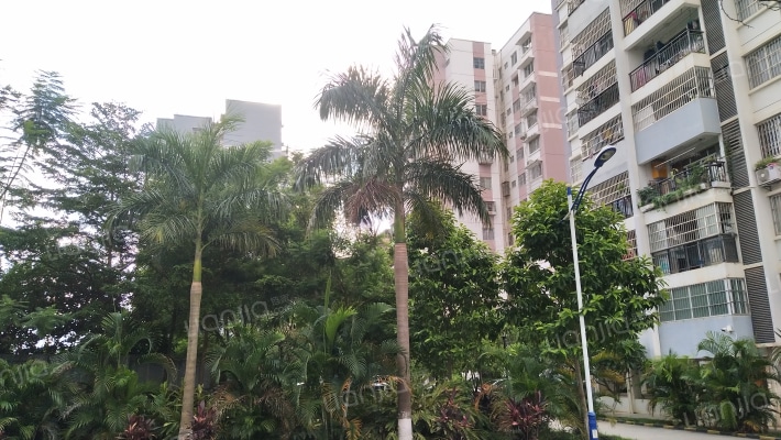 金水湾花园北区外景图