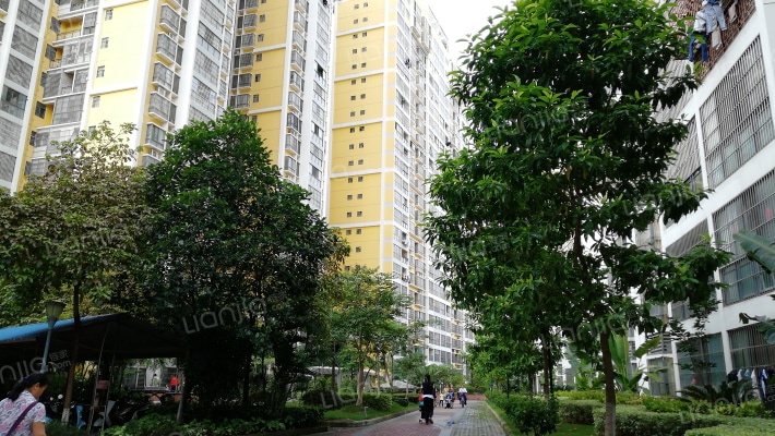 广西一建衡东苑外景图