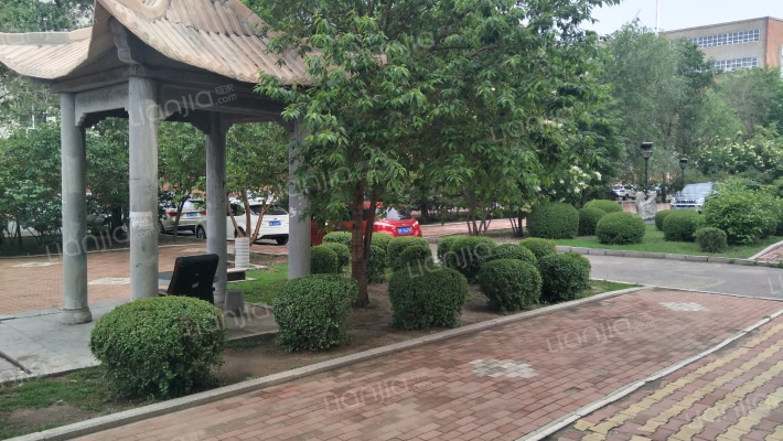 乐安小区外景图