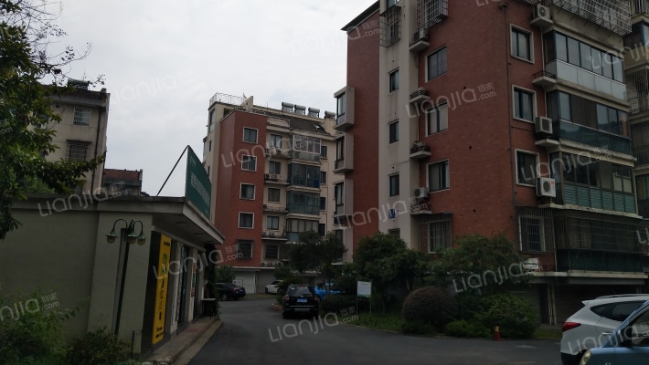 都市枫林外景图