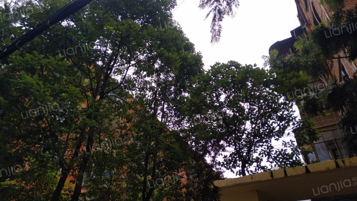 尚义巷51号院外景图