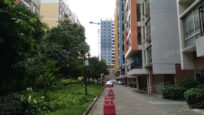 荷塘月色外景图