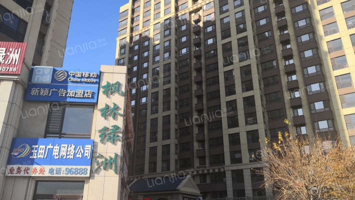 枫林绿洲外景图