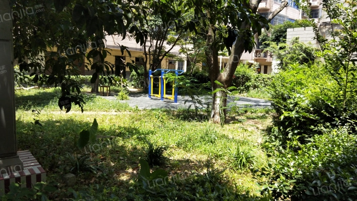 湾士岸一村南区外景图