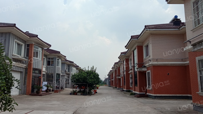 倪家巷别墅区北区外景图