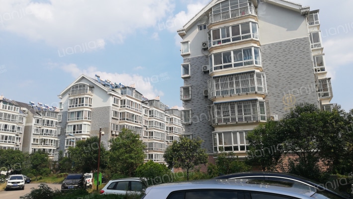 滨河花园外景图