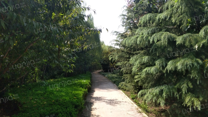 仁和公寓外景图