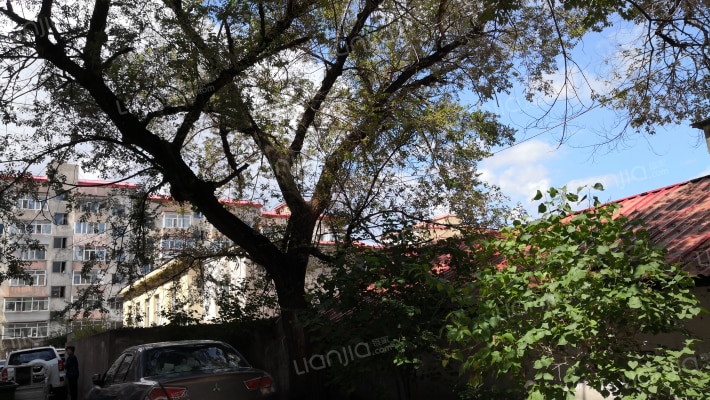 邮政街(上夹树街)外景图