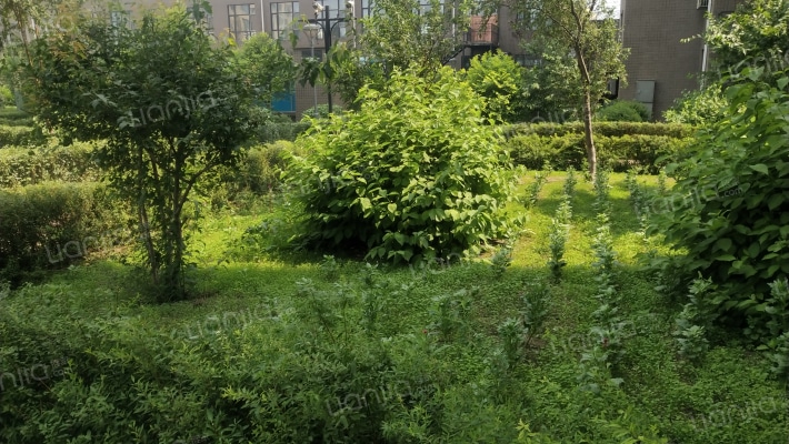 溪湾御景外景图